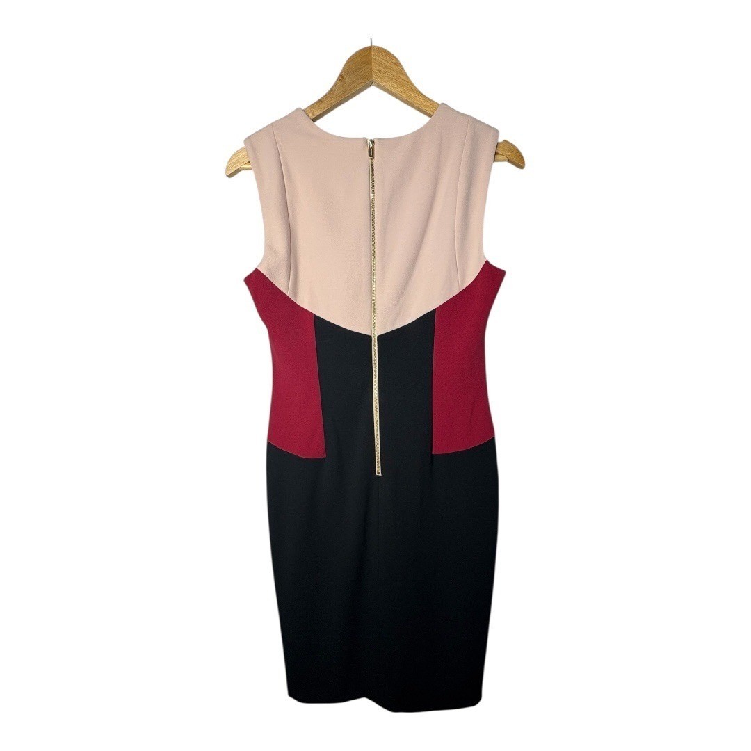 Calvin Klein Sheath Dress Size 6 Black Pink Red Colorblock Sleeveless Knee