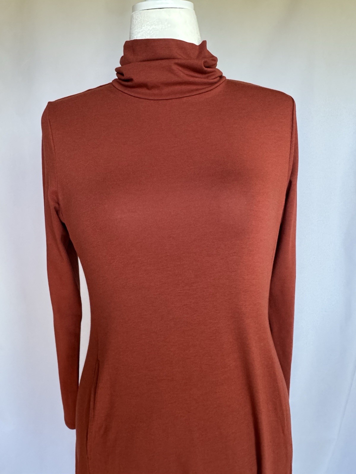 Women’s Brown Solid Turtleneck Long Sleeve Maxi Dress, Regular