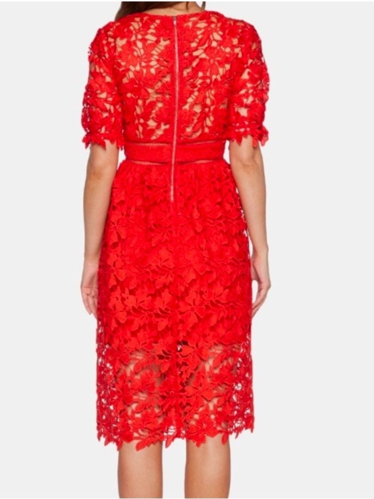 BARDOT Lace Fit & Flare Mindi Dress in Grenadine