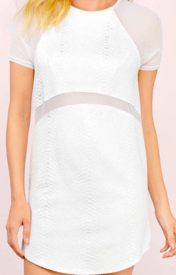 Tobi Mini Dress in Ivory White Sz S Snakeskin Mesh Curved Hem Zipper Back