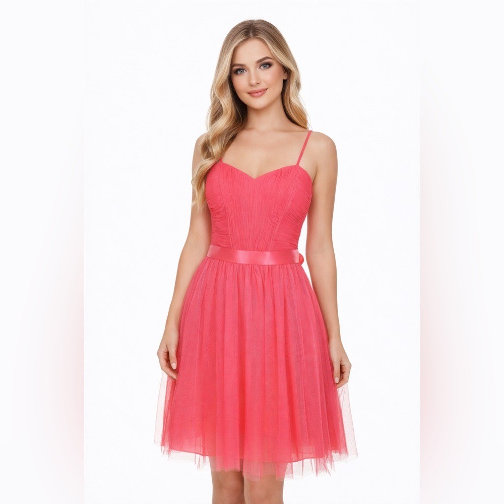 WTOO by Watters Pink Tulle Dress Size 12 NWT