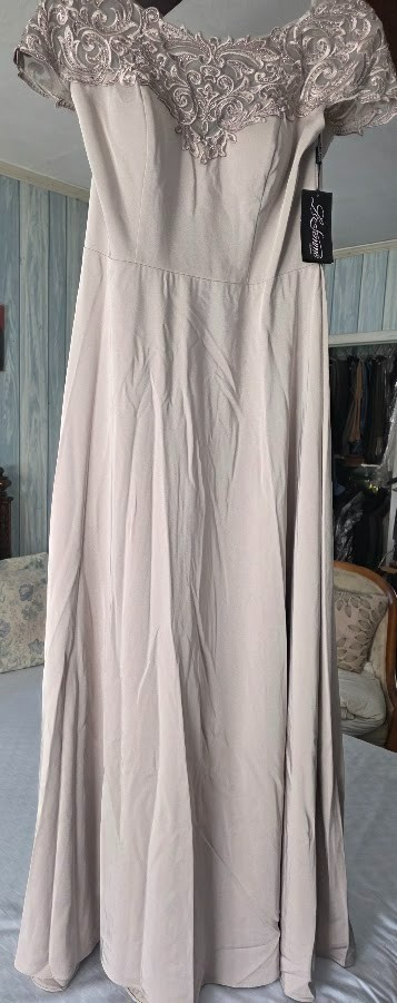 La Femme Bateau A-Line Evening – Silver Taupe Size 12 NWT $398