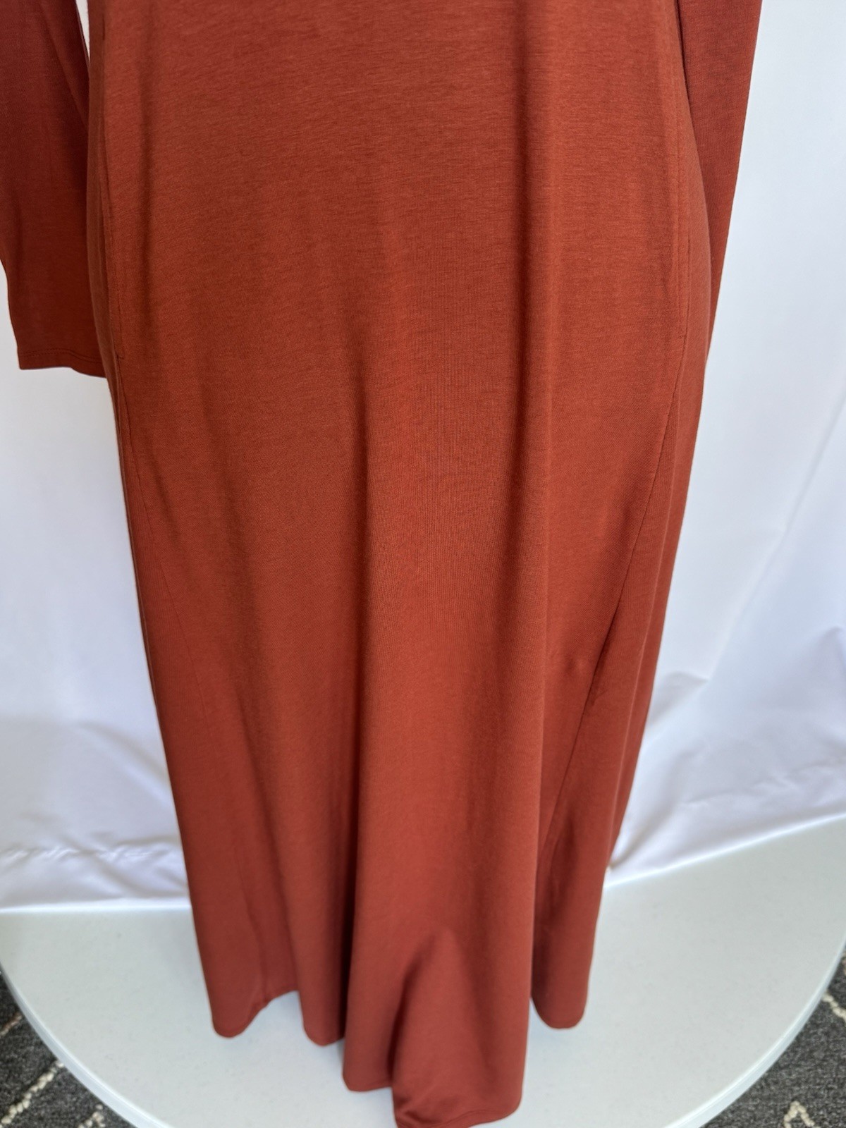Women’s Brown Solid Turtleneck Long Sleeve Maxi Dress, Regular