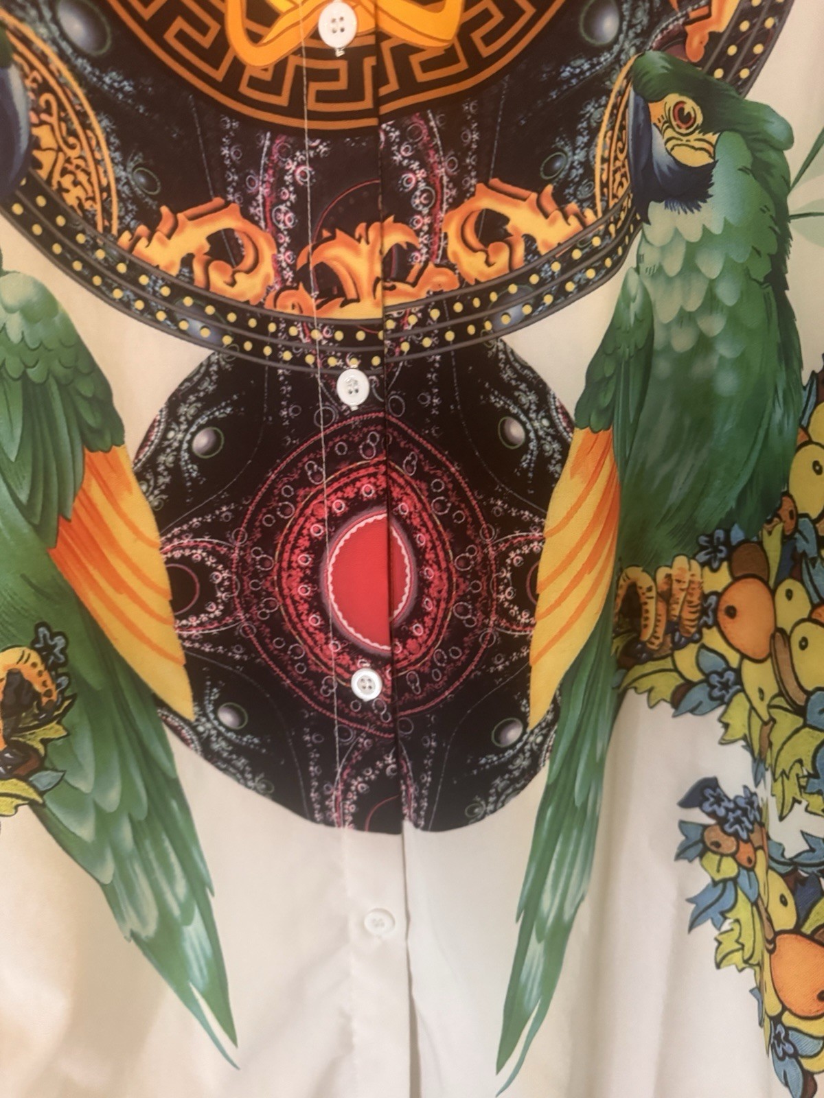 Medusa Parrots Cherubs fruit Super Soft Button Down Collared Shirt Dress 2XL