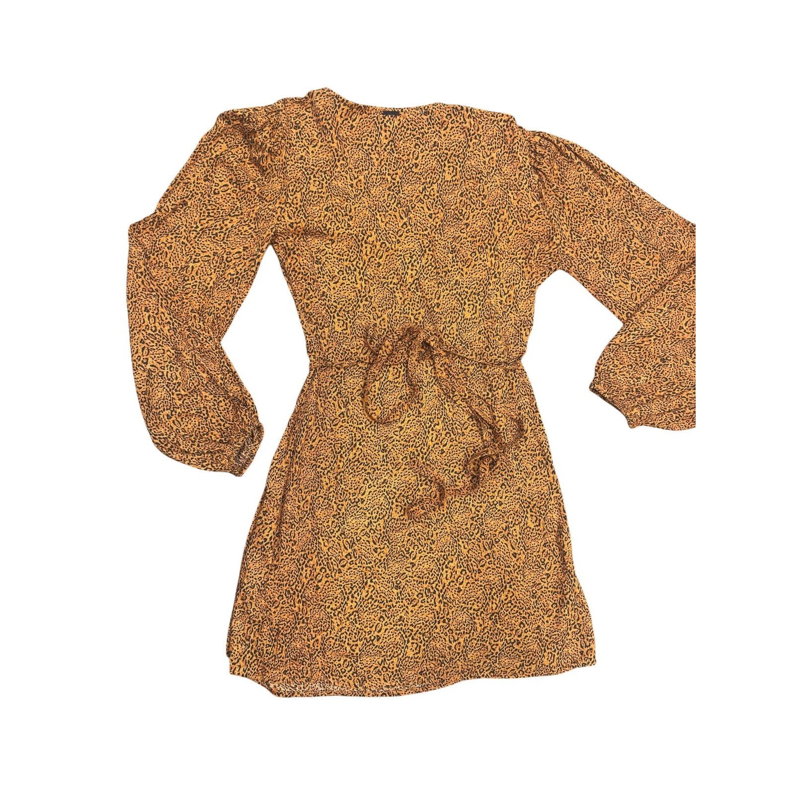 Leopard Print Chiffon Two-Piece Set Top and Pants