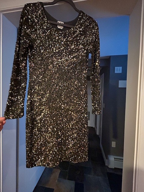 NWOT Haute Hippie Sequin Shift Dress long sleeves cocktail party 36″ S Small