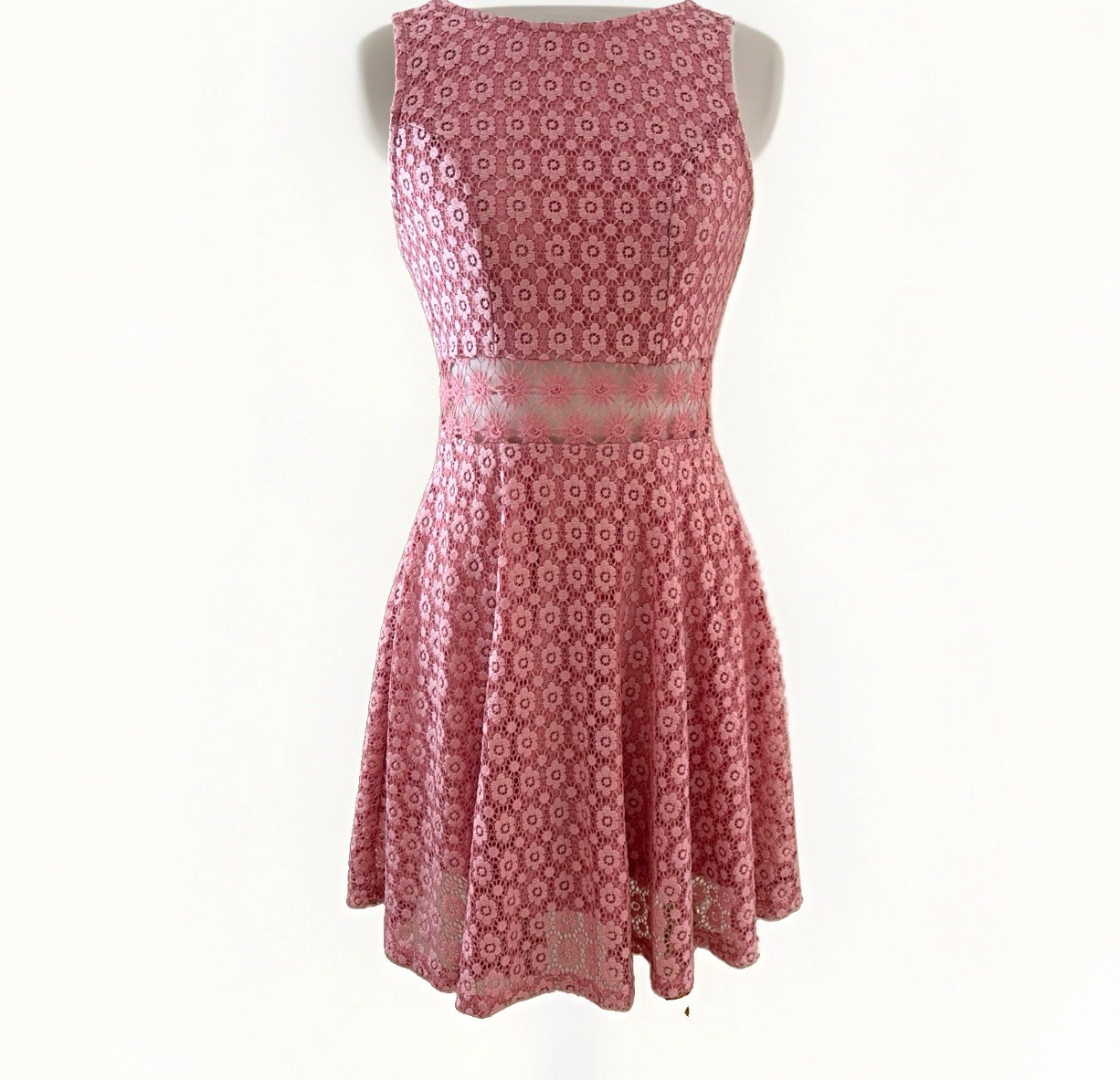 Iris Lace Fit & Flare Skater Mini Dress Size S Pink Sheer Floral Feminine Fairy