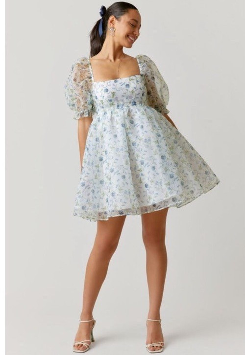 Audrey Parks + francesca’s Floral Chiffon Puff Sleeve Smocked Mini Dress M