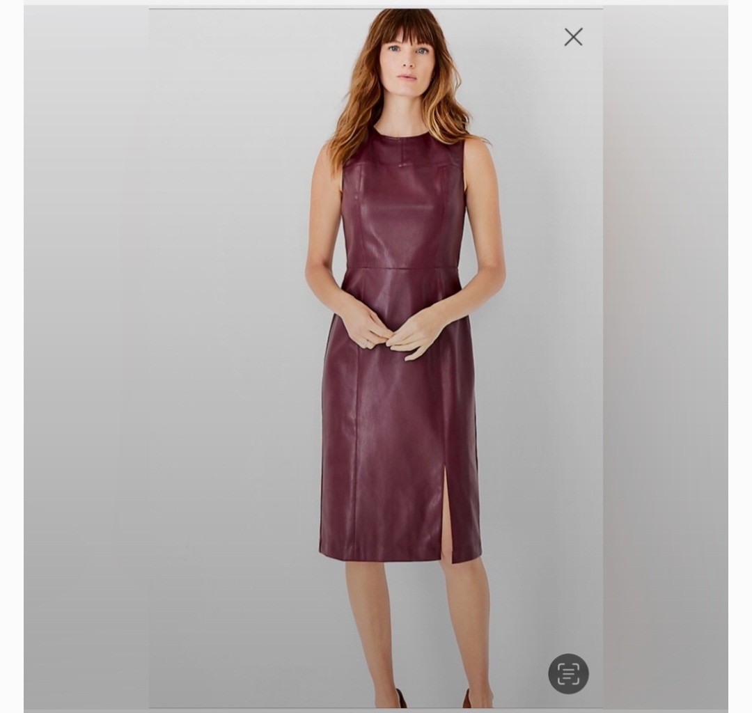 ANN TAYLOR Seamed Faux Leather Sheath Dress Size 6 (Regular) Mauve Rose