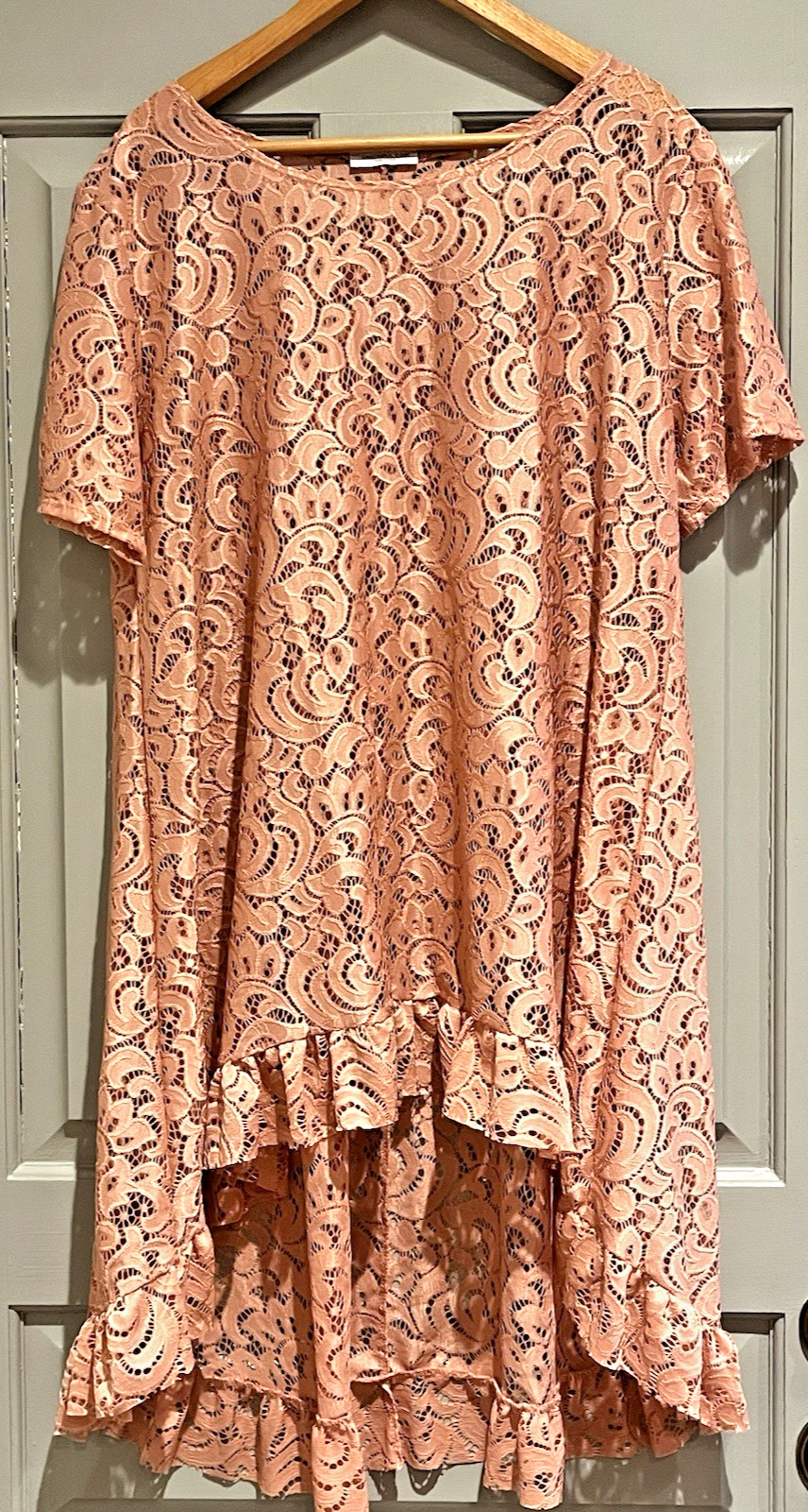 Sheer Lace Overlay Pink Plus Size Asymmetrical Ruffle Fairy Romantic Feminine