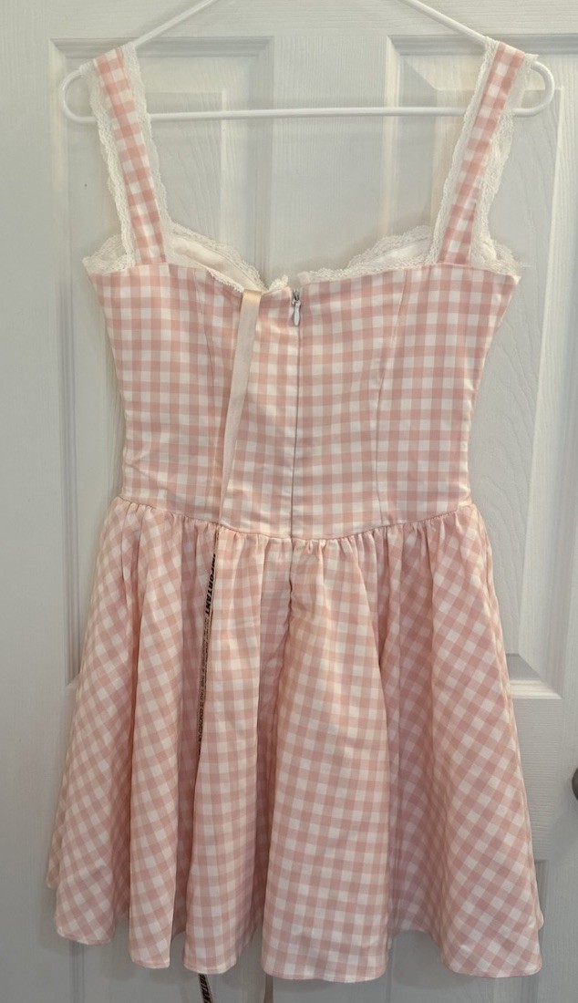 House Of Cb BRIGITTE Strawberry Shortcake Gingham Corset Mini Dress Size Medium