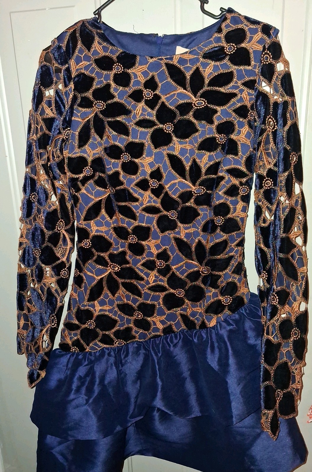 Badgley Mischka Jewel Blue Velvet Floral Fit Flare Dress Long Sleeve M