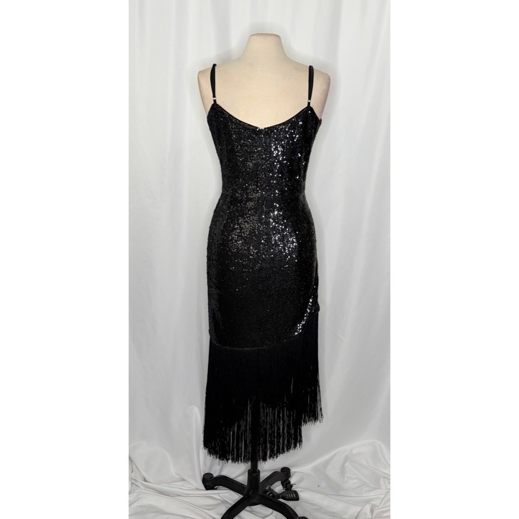 DRESS THE POPULATION Rosella Sequins Tassel Fringe Hem Dress Party X-Large