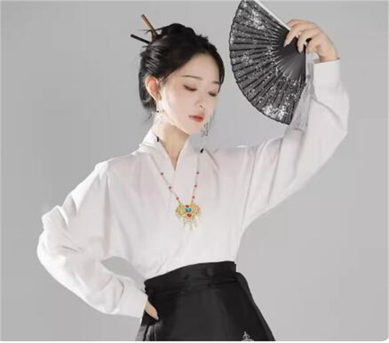 Chinese Women Hanfu Ming Dynasty Traditional Dress Hanfu Costume Skirt