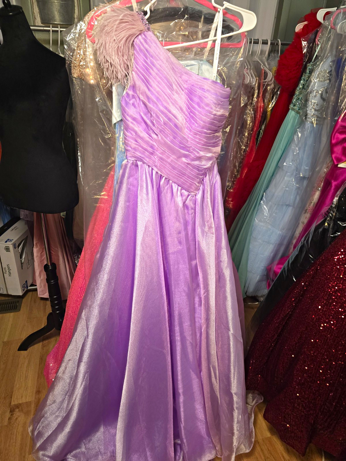 Rachel Allen Purple One Shoulder Long Formal Gown Dress Feather Accent Size 2