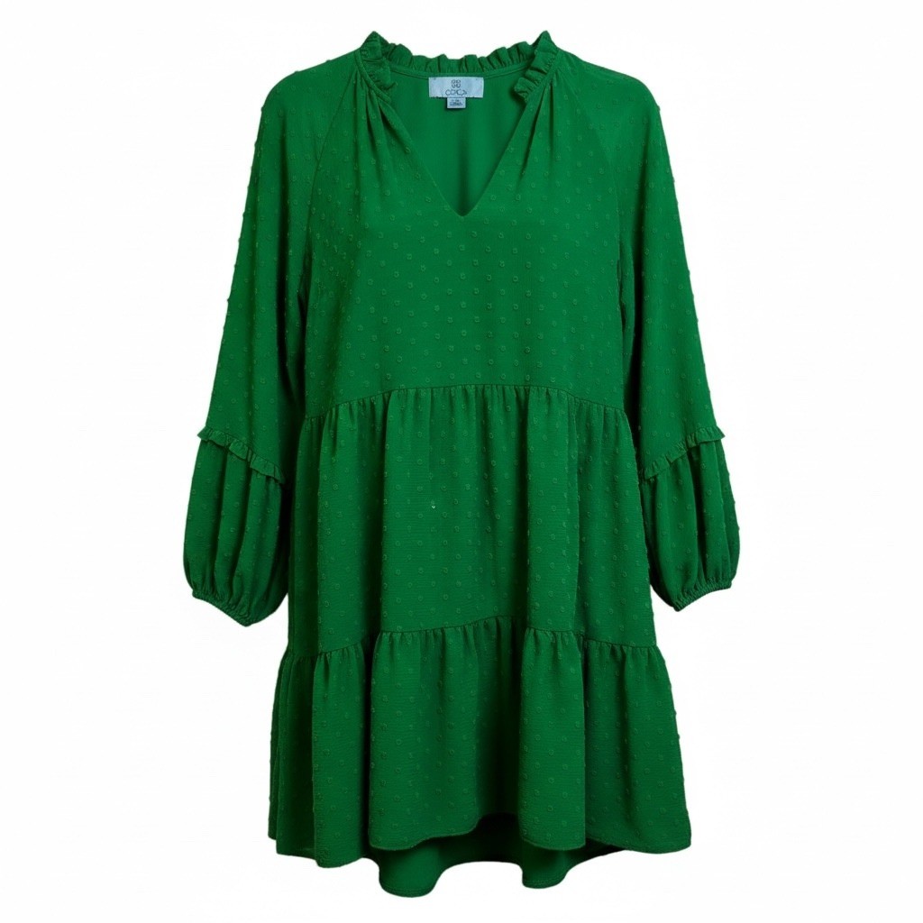 CeCe Women Green Swiss Dot Ruffle Neck Tiered Mini Dress XS
