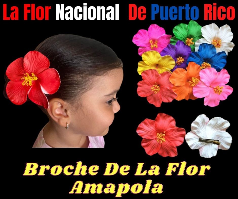 Puerto Rican Flag Skirt Set & Star Belt 3PC Traje Típico Jíbara Boricua Outfit