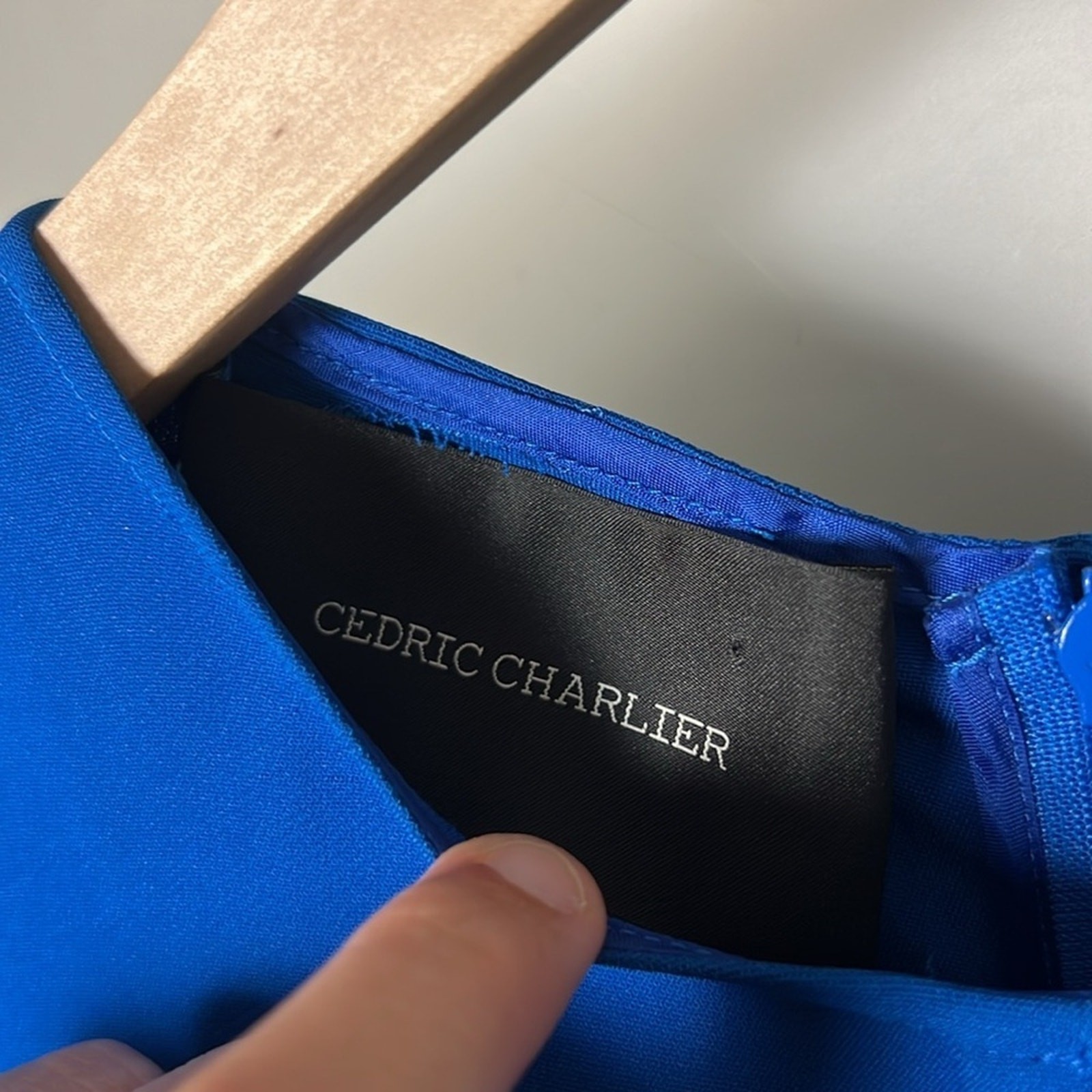 Cedric Charlier Crew Neck Dress with Pleats Size US 8