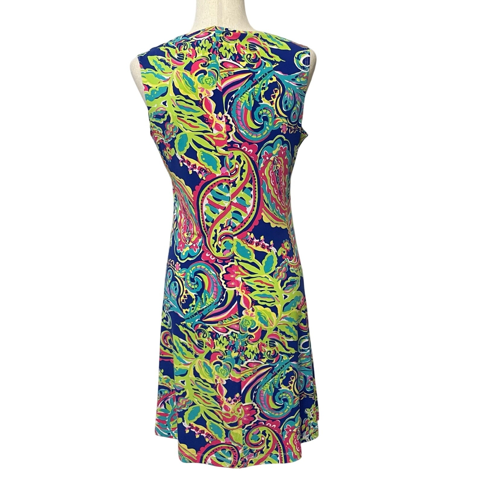 Women’s Philosophy Dresses Paisley Print Tank Dress Multicolor NWT Medium A-Line