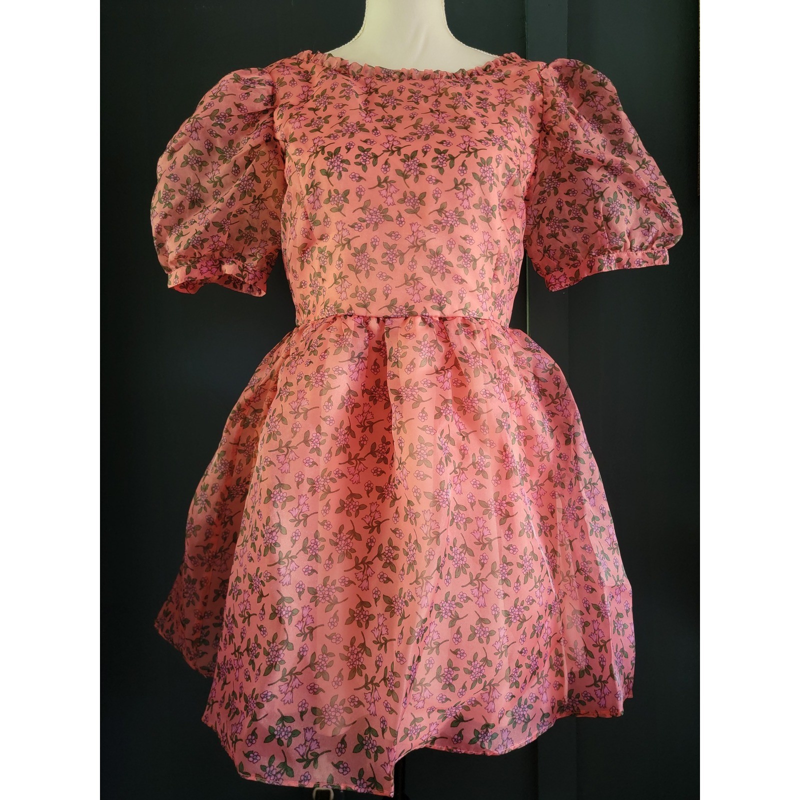 NWT Lost + Wander Pink Floral Venus Rising Mini Dress Babydoll Puff Sleeves Med