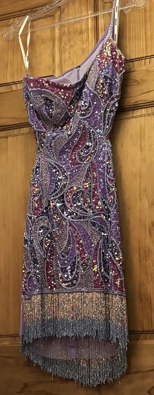 Women’s Purple/Silver Beaded Sequin Fringe V-Neck Paisley Mini Dress Size S