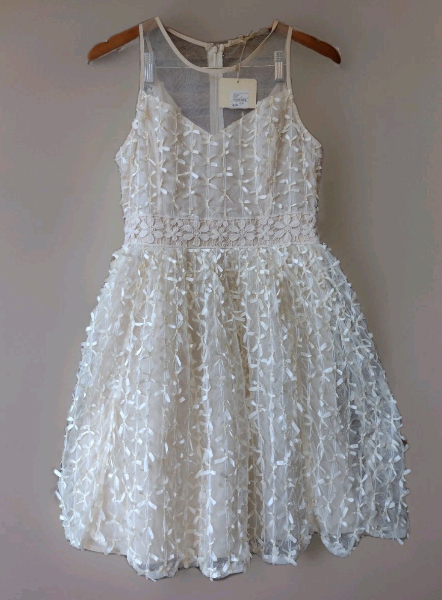 Ryu Cream Lace Tulle Dress M Omni Hotels Romantic Bridal Fairycore NWT