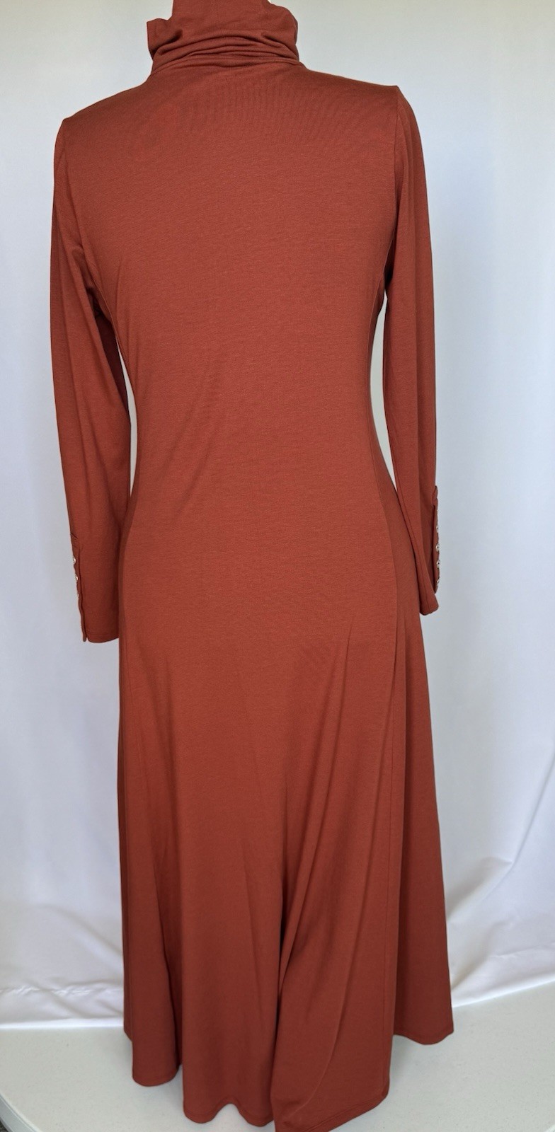Women’s Brown Solid Turtleneck Long Sleeve Maxi Dress, Regular