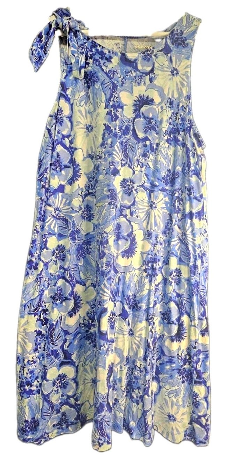 Lilly Pulitzer Luella Swing Dress XL Catch N Keep Coastal Blue Floral Pima