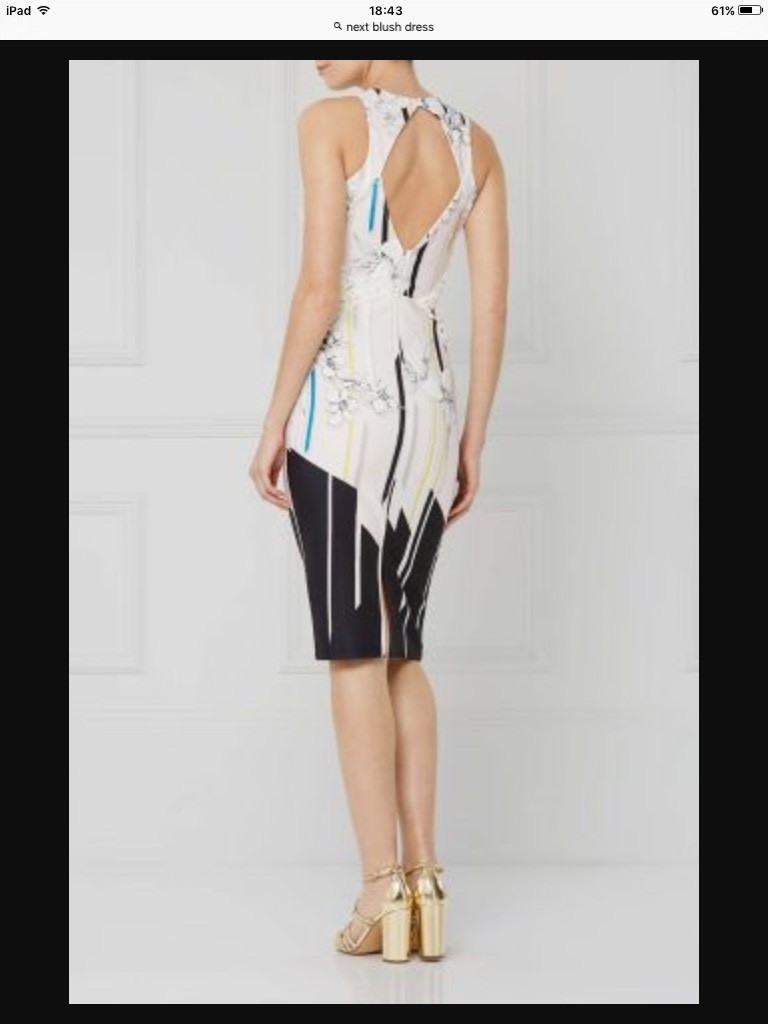 BNWT NEXT Size 14 Blush/Multi Floral Fitted Bodycon Dress