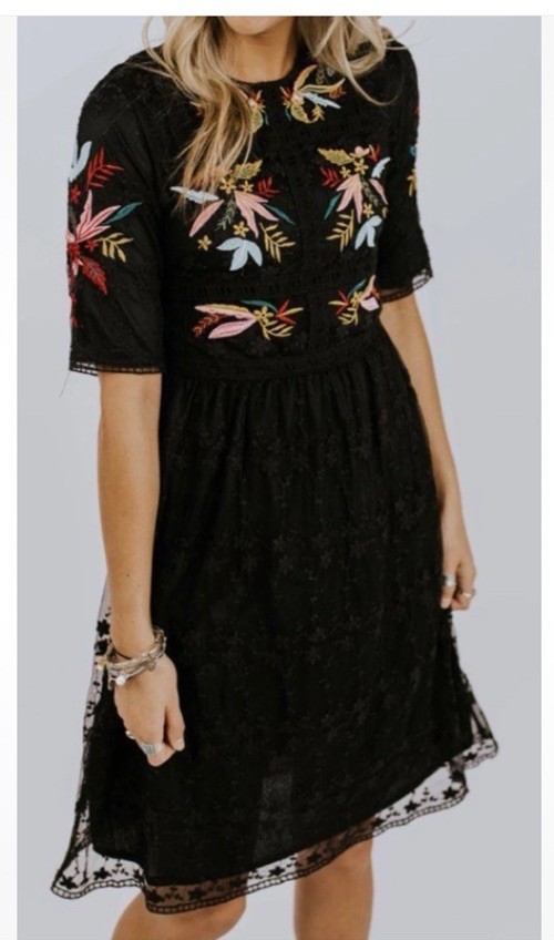 Roolee Size XS/S Black Naomi Dress Embroidered Mesh Lace Overlay Side Zip