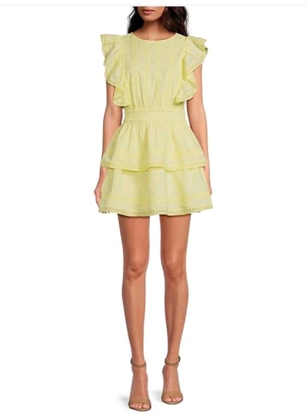 Chelsea & Violet Bekah Cotton Yellowc Lace Crew neck A line mini dress Sz L NWT