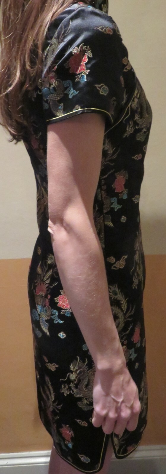 Tangyi Chinese Oriental Dress Size 32