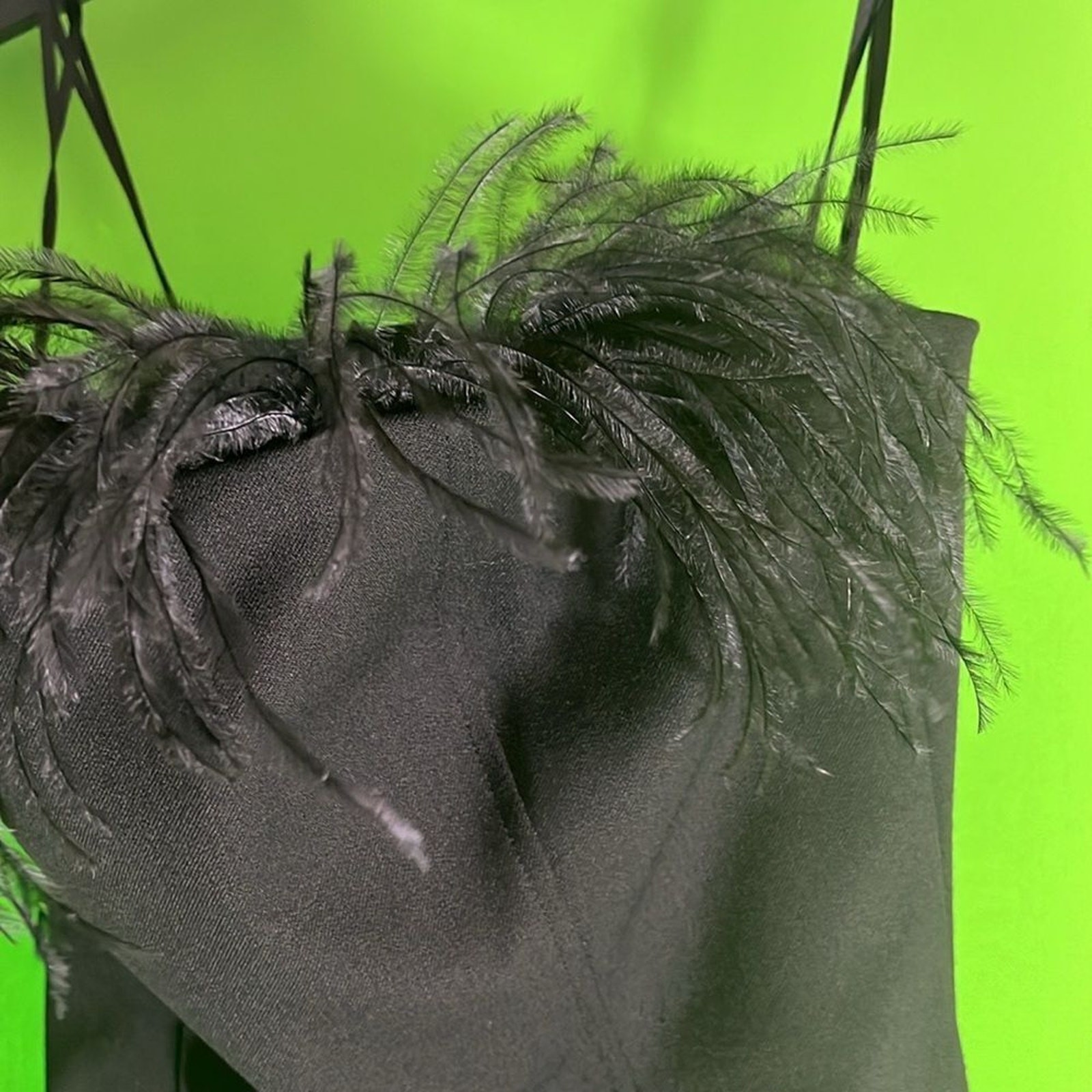 Marcella Lira $490 Black Strapless Dress with removable ostrich feathers Size 2