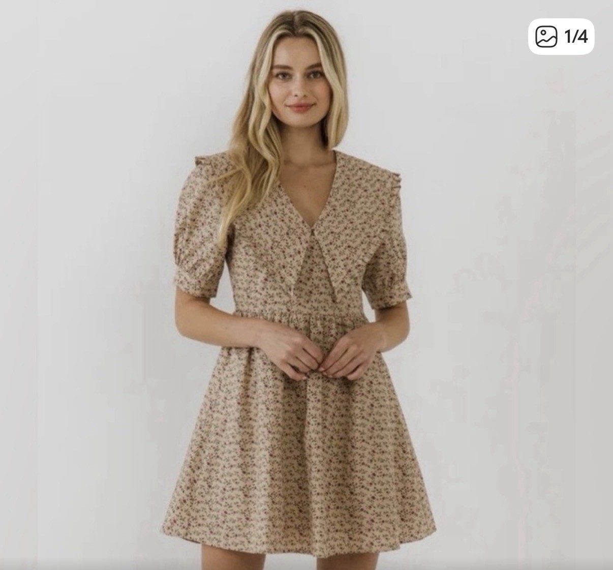 English Factory Floral Ruffle Collar Puff Sleeve A-Line Dress M Beige Pink Green