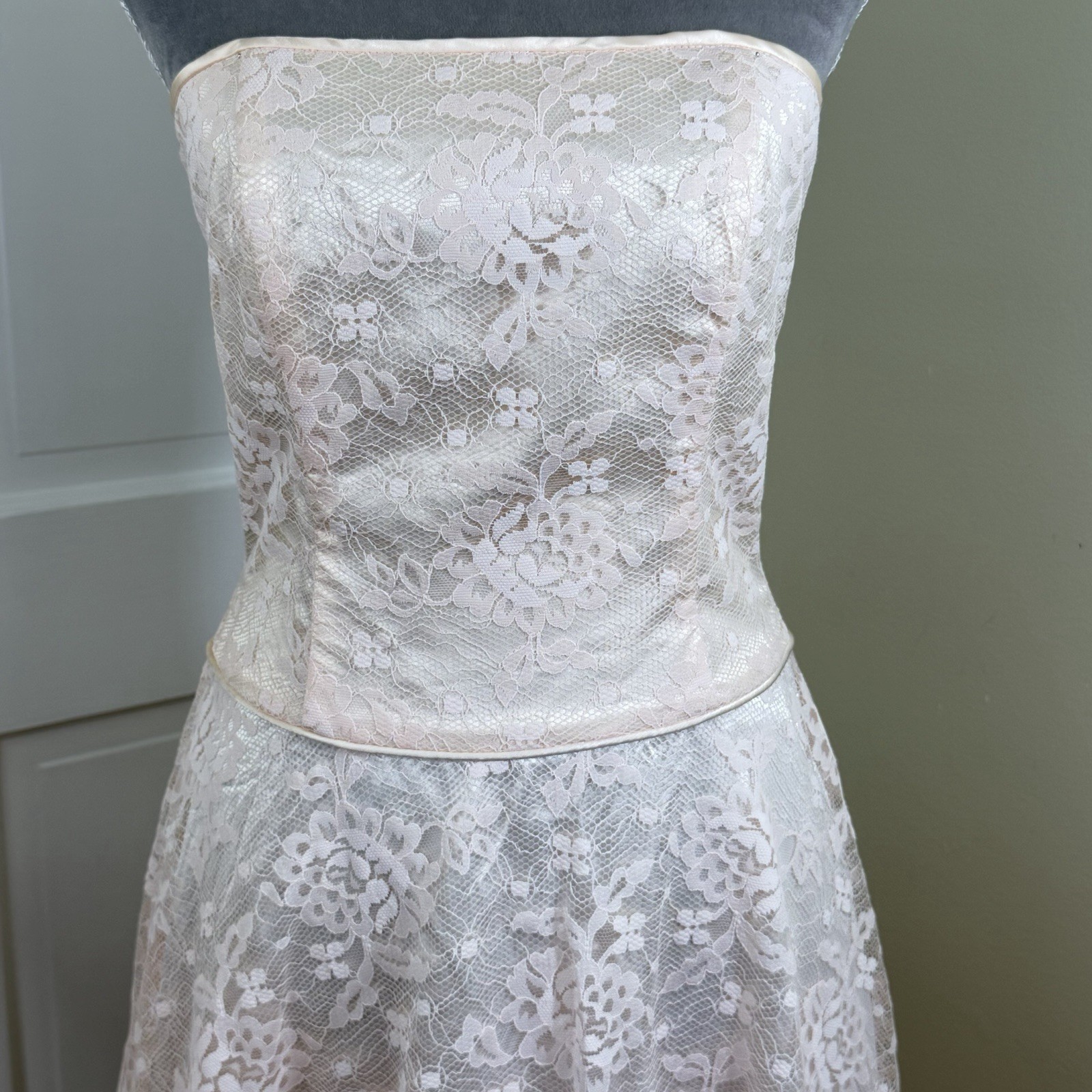 Vintage Scott McClintock Millennium 2000 Dress 6 Gown Prom Pink Lace Y2K USA