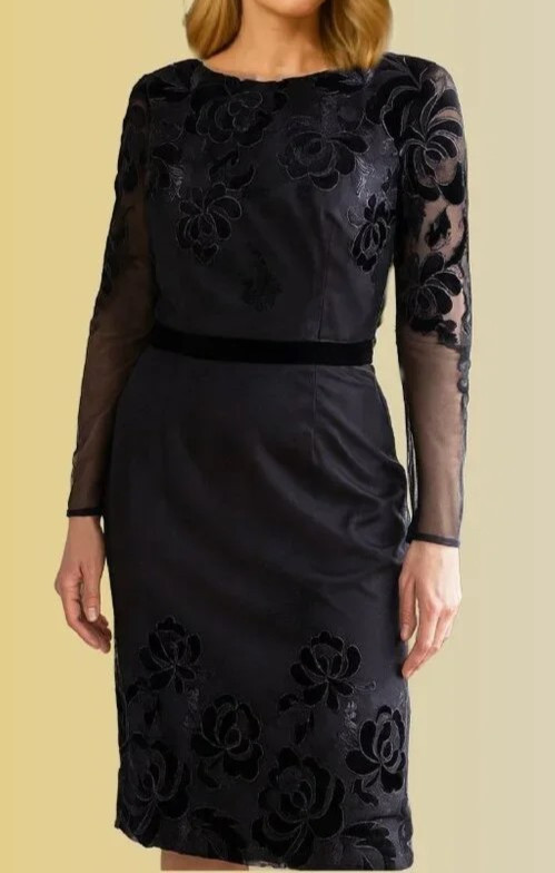 DAVID MEISTER Women’s Size 10 Velvet Trim Floral Mesh Sleeves Sheath Black Dress