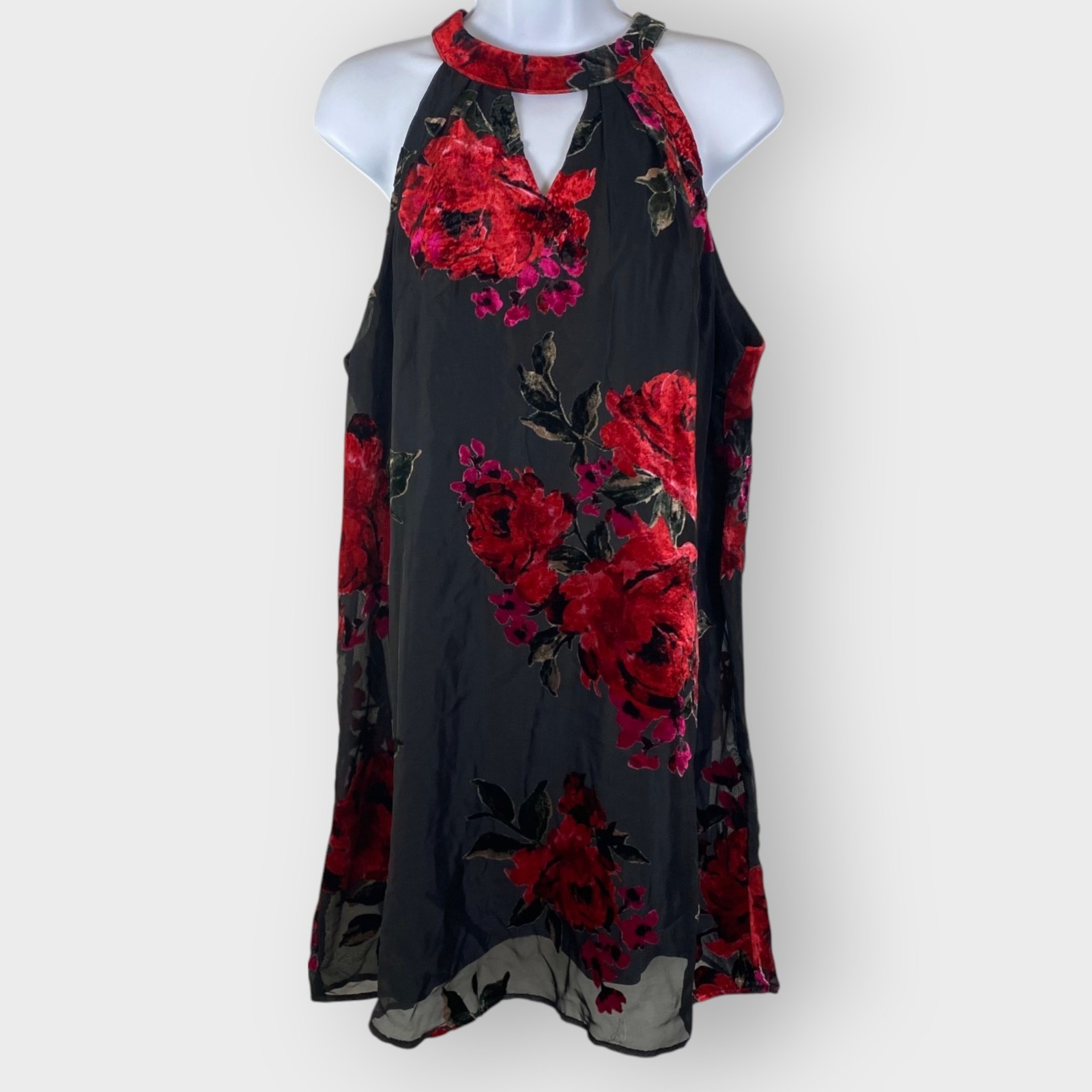Lily Rose Velvet Burnout Dress | XL | Floral Mesh | Fairy Grunge Whimsigoth