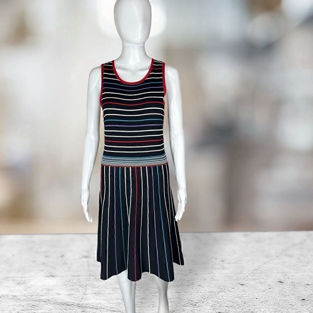 Parker Sleeveless Black Multicolor Striped Dress