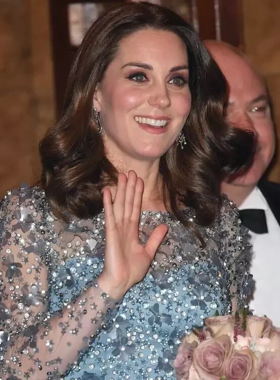 Kate Middleton Style Illusion Long Sleeve Beaded Tulle Formal Evening Party Gown