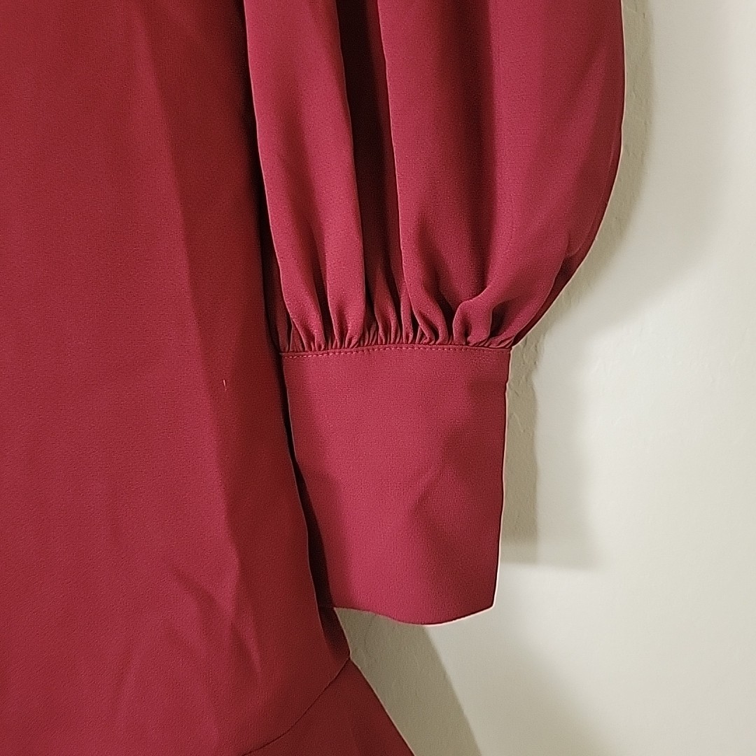 Express Maroon Sz S Elegant Long Sleeve Dress Pleated Mock Neck Button Cuff