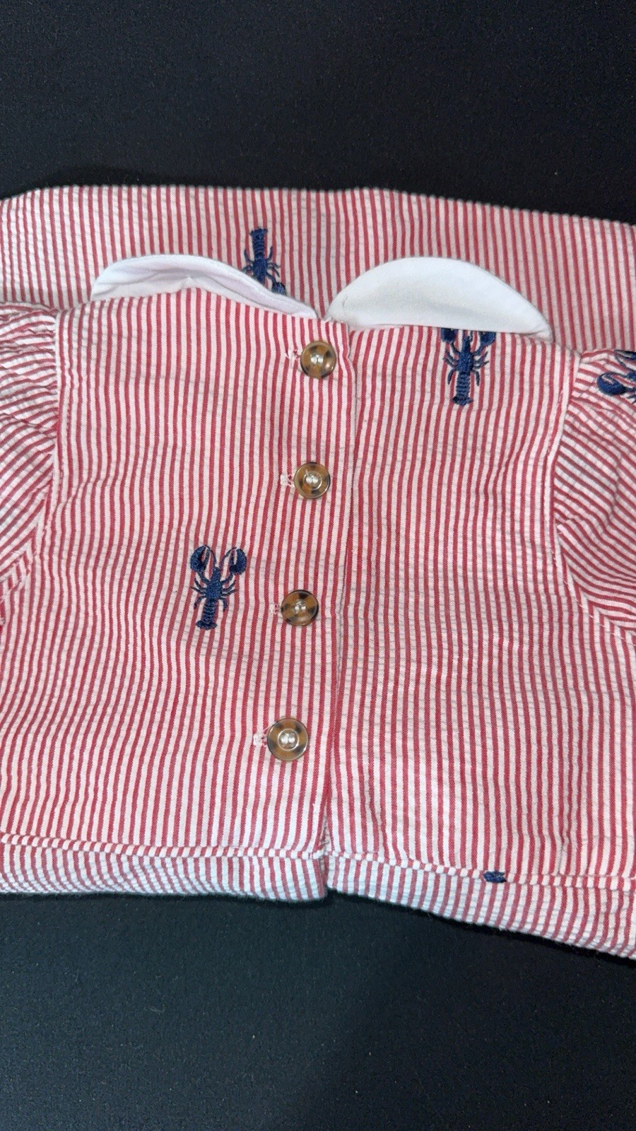 Piping Print 18-24MDress