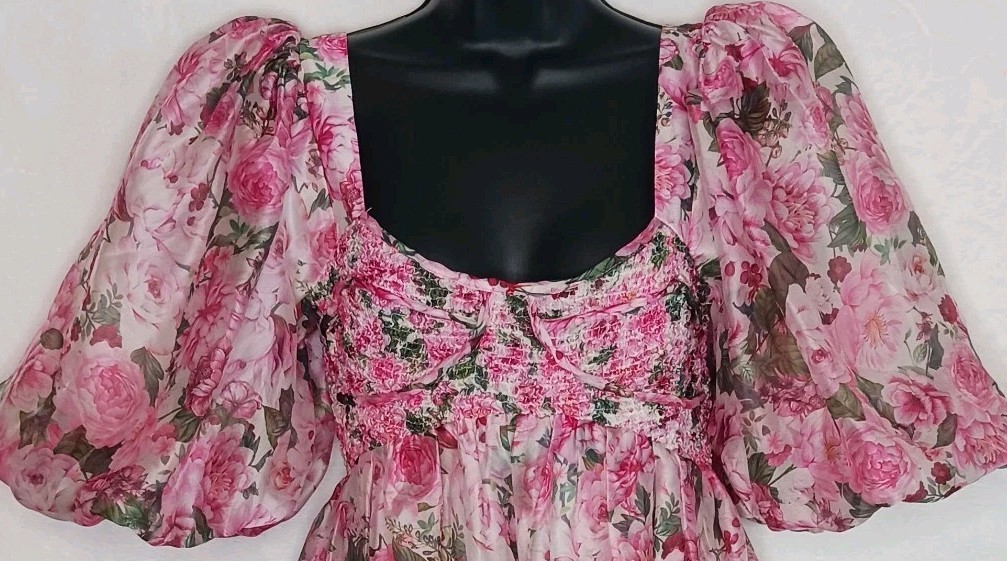 Cottagecore Dress New Sofie the Label Pink Green Rose Floral Taffeta Sz S Barbie