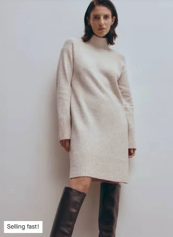 NWT Everlane The Cozy Stretch Turtleneck Dress Women’s Large Wool Blend Pink
