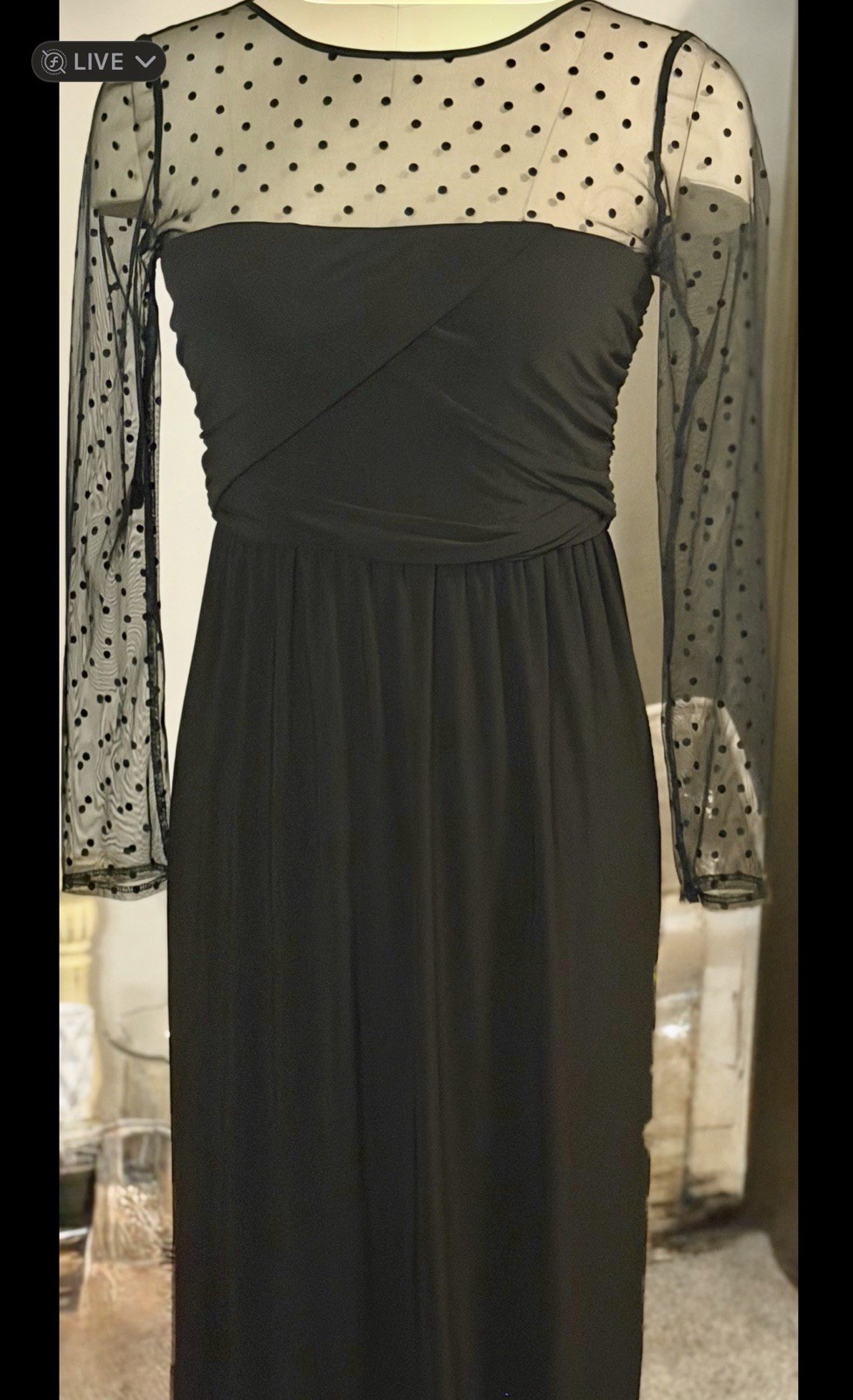 Women’s XL Black Shift Long Dress Sheer Polka Dot Mesh Long Sleeve Zip Back