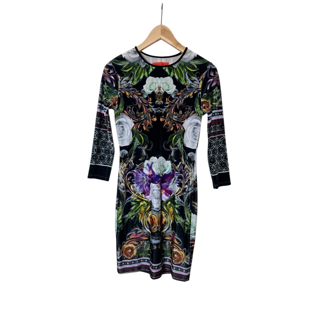 Clover Canyon Long Sleeve Dress Body Con Floral Fields Velvet Whimsygoth XS