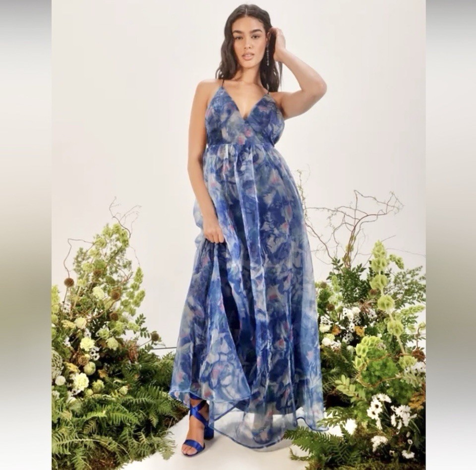 LULUS Bloom Wildly Maxi Dress Navy Blue Floral Organza Sleeveless M Fairy #142