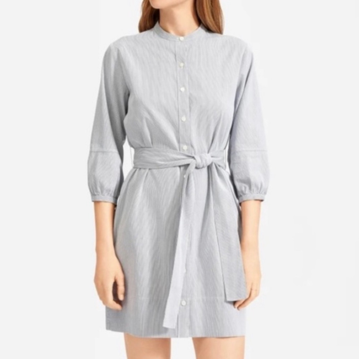 Everlane The Cotton Weave Collarless Shirt Dress Button Down Pinstripe Belt 6