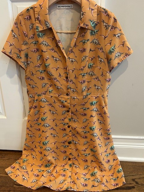 SM Wardrobe Womens Dress Dinosaur T-Rex Teacher Pockets, A-line Button up, Sz 8