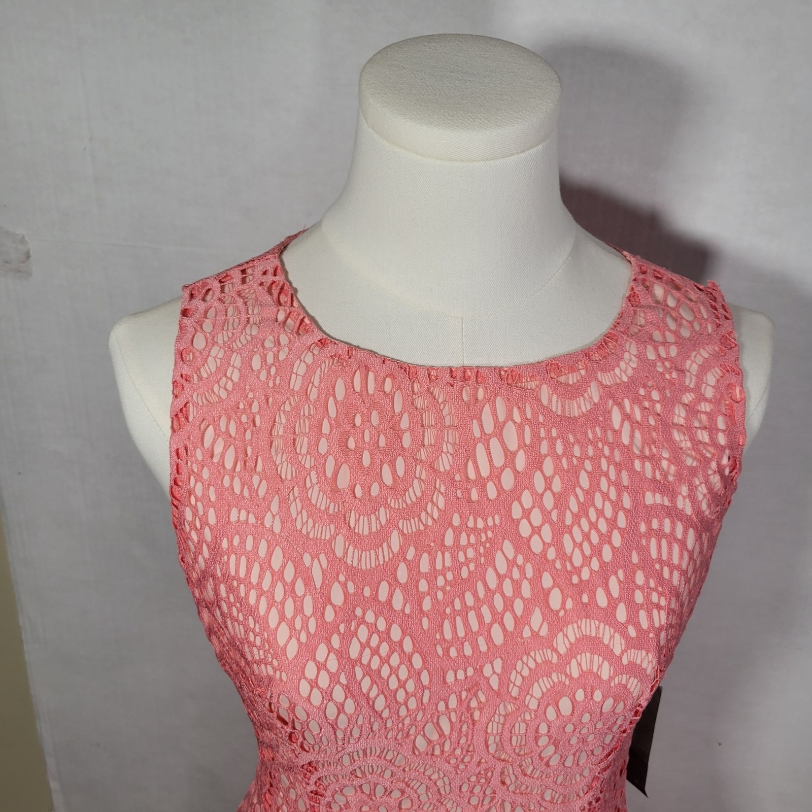 Eva Mendes NY&C Formal Classic Elegant Pink Lace Sleeveless Dress Size 2
