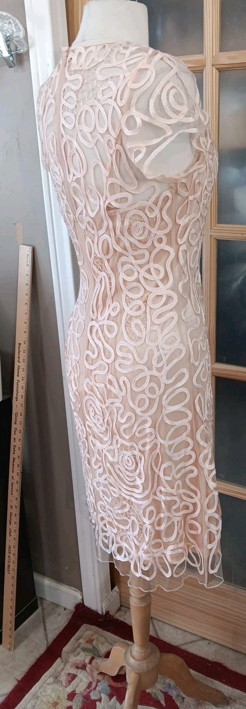Cinderella Divine Cocktail Dress Ribbons Sequins Beads Overlay Peach Knee NWoT